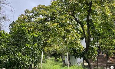 PARCELA INDEPENDIENTE 40 MINUTOS SANTIAGO. MEJOR SECTOR PAINE