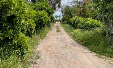 PARCELA INDEPENDIENTE 40 MINUTOS SANTIAGO. MEJOR SECTOR PAINE