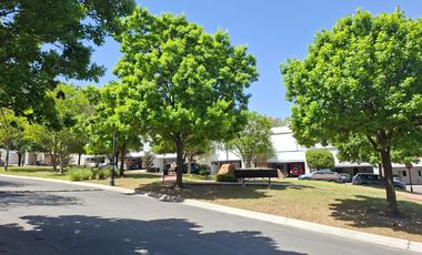 Casa en Renta en Fraccionamiento Antigua