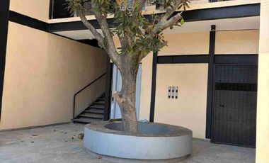 Franquicias, local en plaza comercial en renta