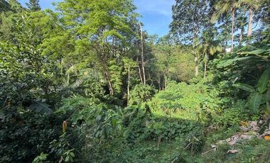 Serene Hillside Residence with Garden Views at Maria Luisa