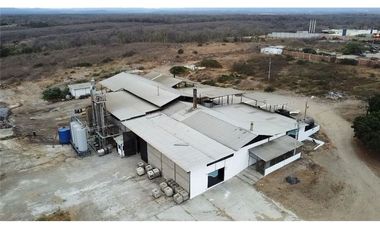 Venta de Fábrica de Harina de Pescado en Manta, Manabí