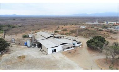 Venta de Fábrica de Harina de Pescado en Manta, Manabí
