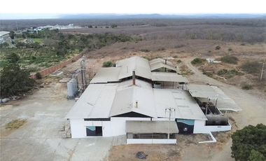 Venta de Fábrica de Harina de Pescado en Manta, Manabí