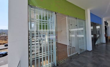 LOCAL EN RENTA CENTRO SUR QUERETARO