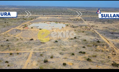 Terreno Industrial en Venta – 16 Hectáreas en Piura, Ubicación Clave para Empresas e Industria