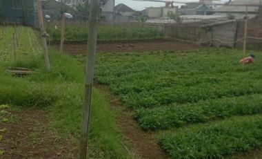 MURRAAHH KAVLING STRATEGIS JALUR UTAMA COCOK UNTUK MINIMARKET, SPBU SIAP BANGUN DI CISARUA CIHANJUANG BANDUNG