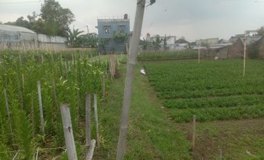 MURRAAHH KAVLING STRATEGIS JALUR UTAMA COCOK UNTUK MINIMARKET, SPBU SIAP BANGUN DI CISARUA CIHANJUANG BANDUNG