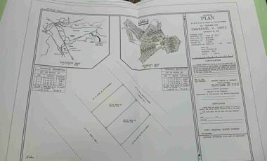 100sqm LOT FOR SALE IN DOLMAR GOLDEN HILLS MARILAO BULACAN