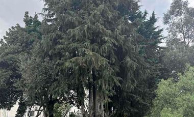 RENTA PROPIEDAD INDEPENDIENTE, CARCELÉN INDUSTRIAL 3500m2, NORTE DE QUITO