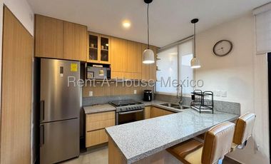 Departamento Amueblado en Renta en Nuevo Refugio | Planta Baja y Jardín de Gran Tamaño