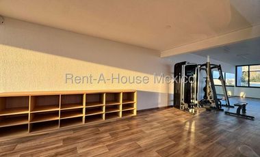 Departamento Amueblado en Renta en Nuevo Refugio | Planta Baja y Jardín de Gran Tamaño