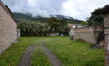 Venta, Ibarra   propiedad 750m2 con casa en el centro