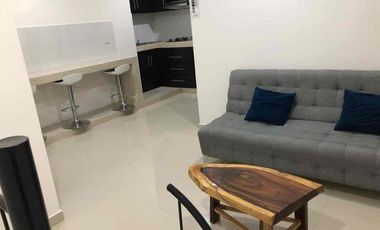 Departamento amueblado en renta a menos de 5 minutos de Tres Ríos