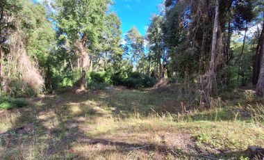 Exclusiva Parcela en Venta – Sector Pichihuape, Valdivia