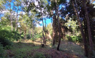 Exclusiva Parcela en Venta – Sector Pichihuape, Valdivia