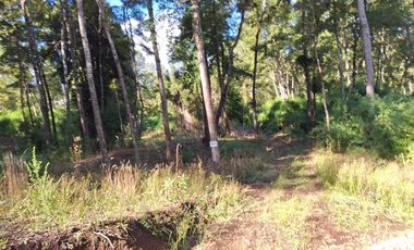 Exclusiva Parcela en Venta – Sector Pichihuape, Valdivia