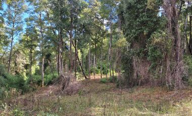 Exclusiva Parcela en Venta – Sector Pichihuape, Valdivia