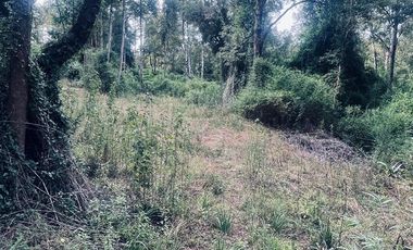Exclusiva Parcela en Venta – Sector Pichihuape, Valdivia