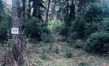 Exclusiva Parcela en Venta – Sector Pichihuape, Valdivia