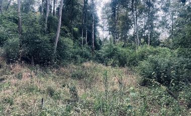 Exclusiva Parcela en Venta – Sector Pichihuape, Valdivia