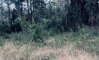 Exclusiva Parcela en Venta – Sector Pichihuape, Valdivia