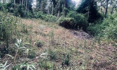 Exclusiva Parcela en Venta – Sector Pichihuape, Valdivia
