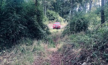 Exclusiva Parcela en Venta – Sector Pichihuape, Valdivia