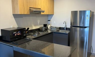 DEPARTAMENTO AMUEBLADO EN RENTA TORRE BIKIA ZONA CENTRO DE LEON GTO. A 2 MIN DEL ARCO DE LA CALZADA.