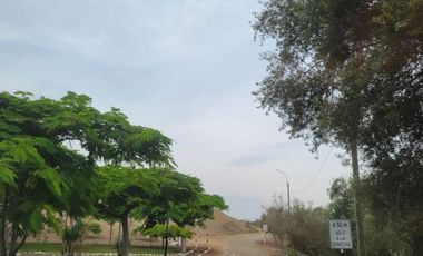 Condominio Oasis de San Andres