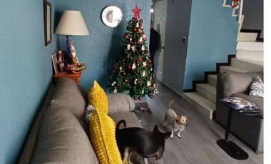 CASA EN DOS NIVELES EN VENTA