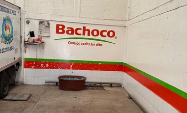 BODEGA 250 M2 EN RENTA CÁMARA FRIGORÍFICA CERCA DE LA CENTRAL DE ABASTO PUEBLA