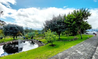 Arriendo casa en Tumbaco, Urbanización privada, tiene cuatro dormitorios