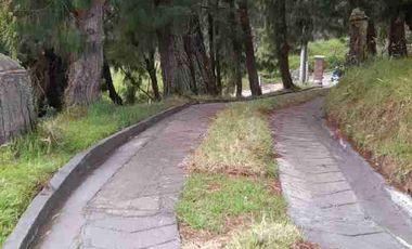 ARRIENDO CASA QUINTA CON LOTE CAMPESTRE