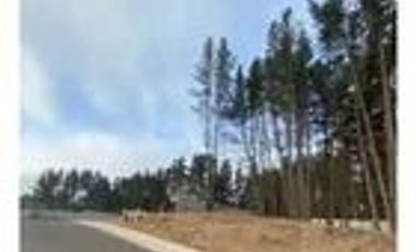 I. HOLZAPFEL #1104 | Terreno 1660 m2 en Reñaca