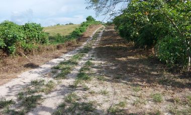 Venta de Finca en Jipijapa Zona Manantiales
