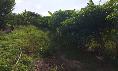Venta de Finca en Jipijapa Zona Manantiales