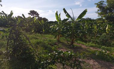 Venta de Finca en Jipijapa Zona Manantiales
