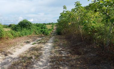 Venta de Finca en Jipijapa Zona Manantiales