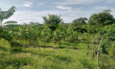 Venta de Finca en Jipijapa Zona Manantiales