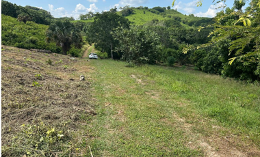 Maravilloso Rancho de Mango a Pie de Carretera