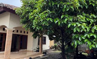 Rumah Nyaman di Mataram – Ada Halaman Besar, Pohon Manggis & Kolam Anak - SS