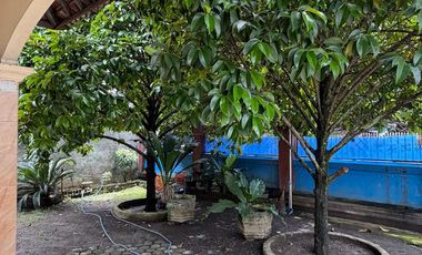 Rumah Nyaman di Mataram – Ada Halaman Besar, Pohon Manggis & Kolam Anak - SS