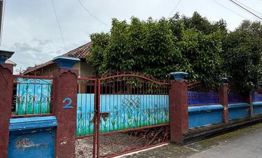 Rumah Nyaman di Mataram – Ada Halaman Besar, Pohon Manggis & Kolam Anak - SS