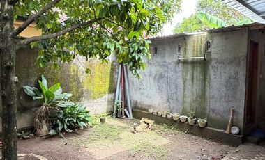 Rumah Nyaman di Mataram – Ada Halaman Besar, Pohon Manggis & Kolam Anak - SS