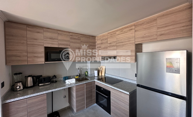Se Arrienda Departamento en Edificio Miraolas