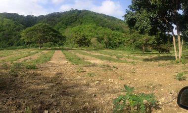 Venta de Lotes de Terreno en San Vicente Manabí