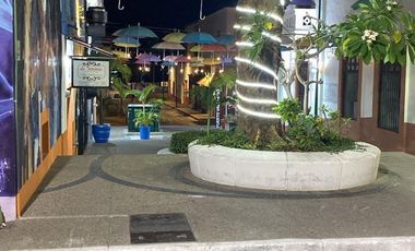 CENTRO DE PUERTO VALLARTA OPORTUNIDAD