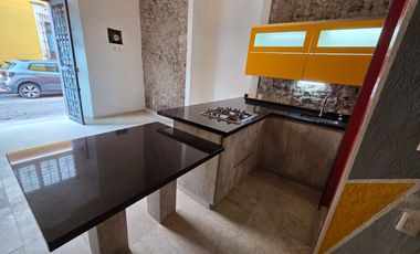 Rento Departamento Tipo Loft Centro Histórico Querétaro
