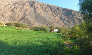 Haz Realidad tu Proyecto Rural: Fundo Ganadero y Agrícola en el Corazón de Ayacucho
